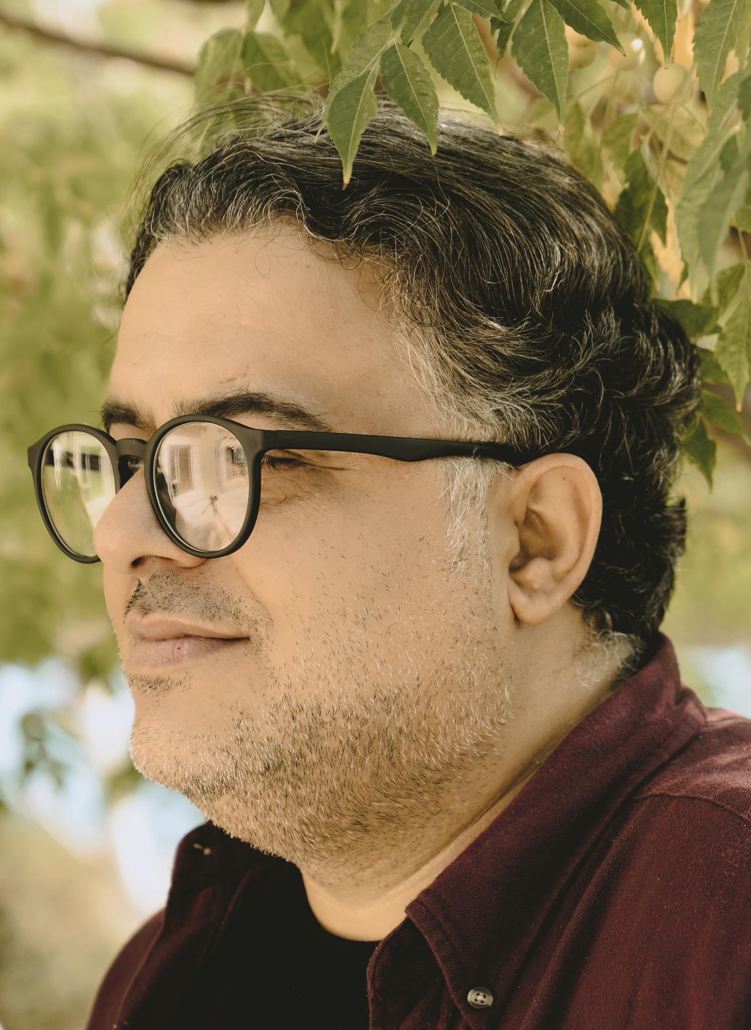 حامد هادوی
